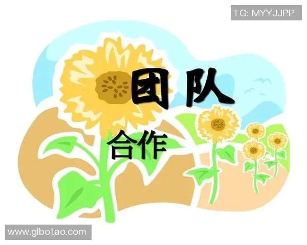 杭州排球队阵地战分析与反思：得失背后的战术与团队协作